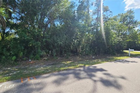 Land in Port Charlotte, Florida № 2105965 - photo 5