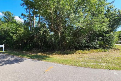 Land in Port Charlotte, Florida № 2105965 - photo 7