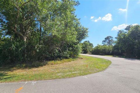 Land in Port Charlotte, Florida № 2105965 - photo 6