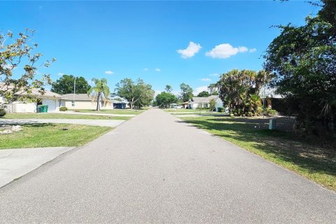 Land in Port Charlotte, Florida № 2105965 - photo 3
