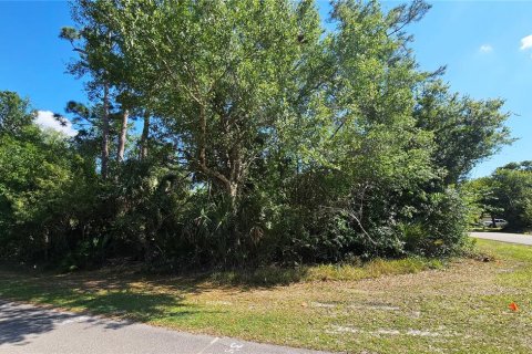 Land in Port Charlotte, Florida № 2105965 - photo 8