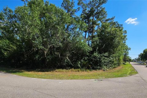 Land in Port Charlotte, Florida № 2105965 - photo 9
