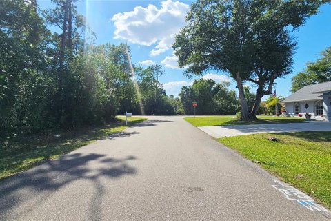 Land in Port Charlotte, Florida № 2105965 - photo 4