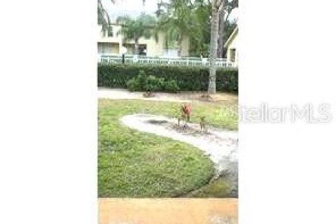 Condo in Tampa, Florida, 3 bedrooms  № 1878100 - photo 4