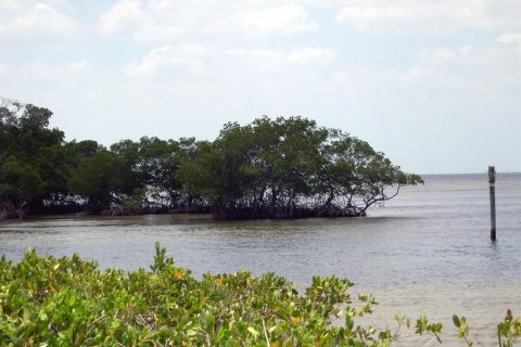 Land in Punta Gorda, Florida № 1295869 - photo 8