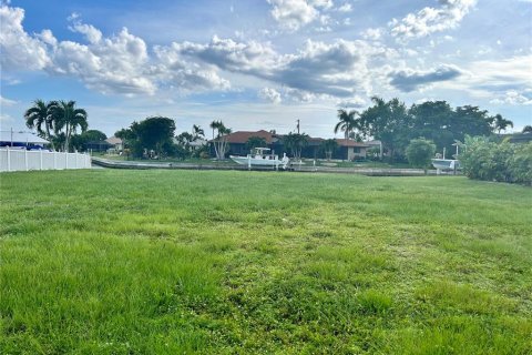 Land in Punta Gorda, Florida № 1295869 - photo 11