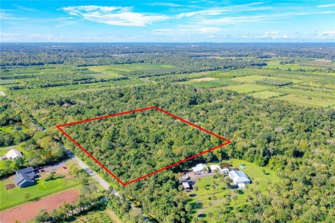 Terreno en Oviedo, Florida № 2143348