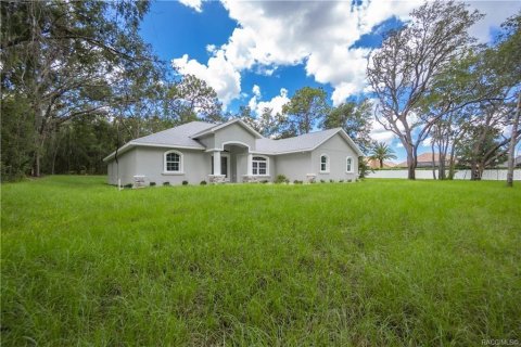 Villa ou maison à vendre à Hernando, Floride: 3 chambres, 186.64 m2 № 1907981 - photo 2