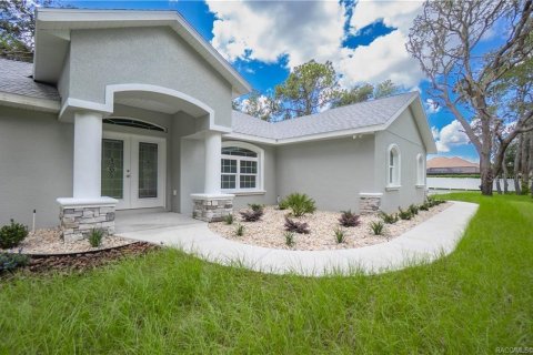 Villa ou maison à vendre à Hernando, Floride: 3 chambres, 186.64 m2 № 1907981 - photo 4