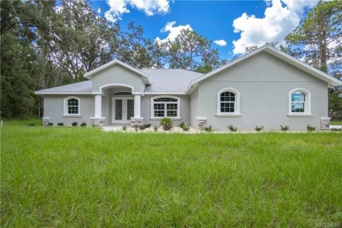 Villa ou maison à vendre à Hernando, Floride: 3 chambres, 186.64 m2 № 1907981 - photo 1