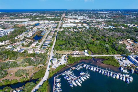 Immobilier commercial à louer à Tarpon Springs, Floride № 859248 - photo 15