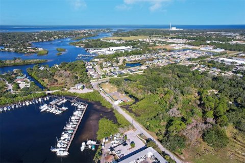 Propiedad comercial en alquiler en Tarpon Springs, Florida № 859248 - foto 2