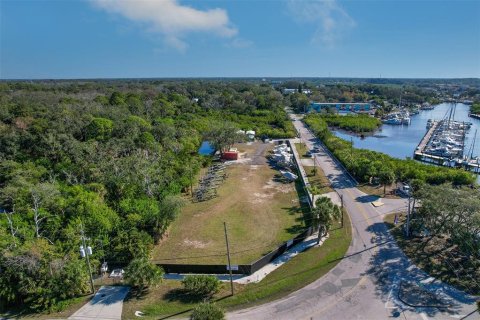 Immobilier commercial à louer à Tarpon Springs, Floride № 859248 - photo 14