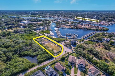 Propiedad comercial en alquiler en Tarpon Springs, Florida № 859248 - foto 1