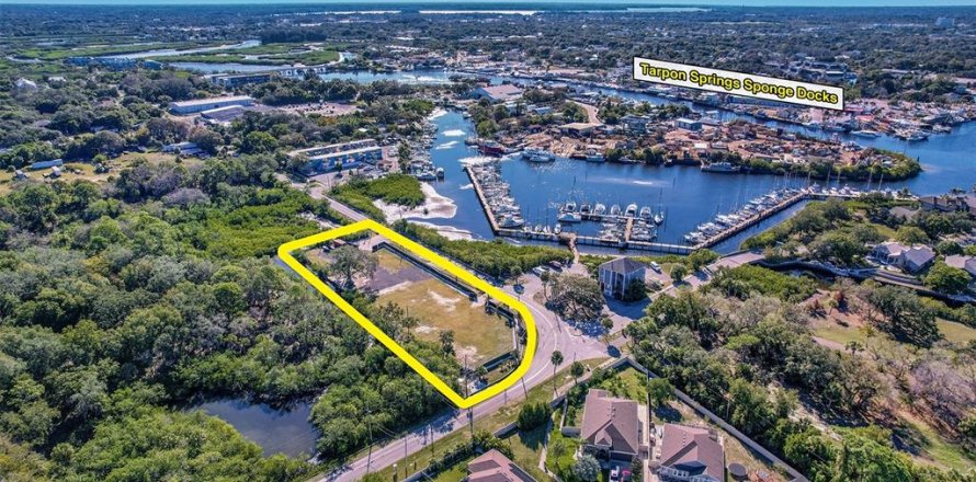 Propiedad comercial en Tarpon Springs, Florida № 859248