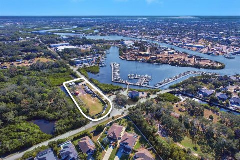 Immobilier commercial à louer à Tarpon Springs, Floride № 859248 - photo 17