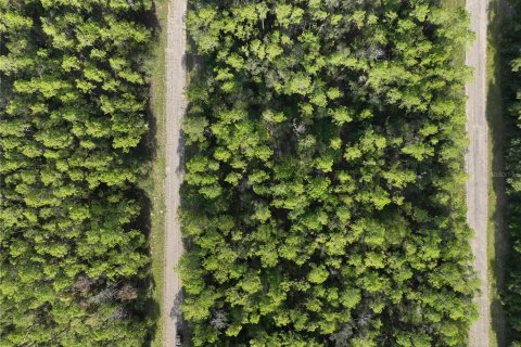 Купить земельный участок в Даннеллон, Флорида № 2164988 - фото 16