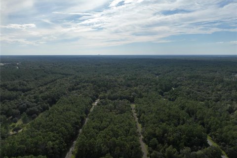 Купить земельный участок в Даннеллон, Флорида № 2164988 - фото 19