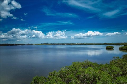 Terreno en venta en Terra Ceia, Florida № 1554758 - foto 1