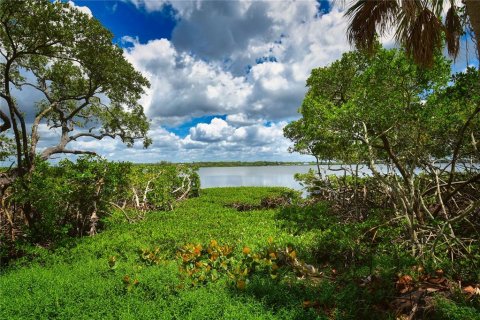 Terreno en venta en Terra Ceia, Florida № 1554758 - foto 17