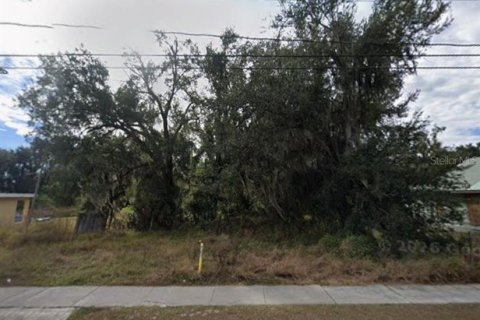 Land in Fort Meade, Florida № 2225899