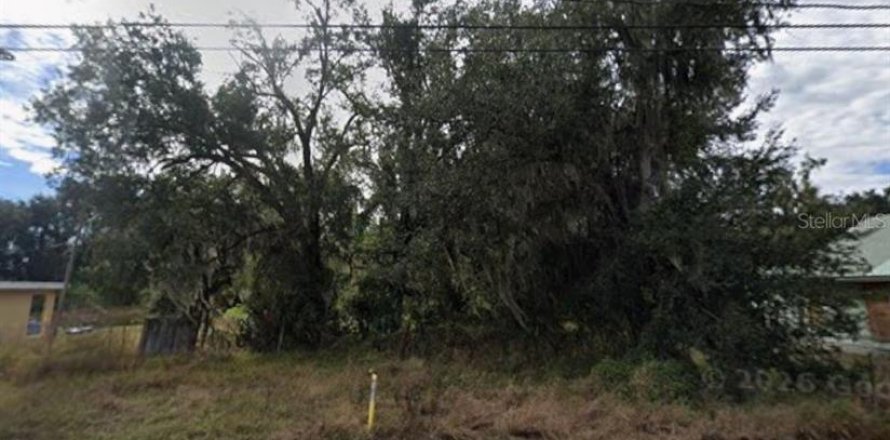 Terrain à Fort Meade, Floride № 2225899