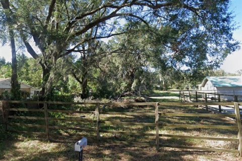 Terrain à vendre à Fort Meade, Floride № 2225899 - photo 2