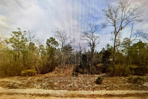 Terrain à Palatka, Floride № 2158267