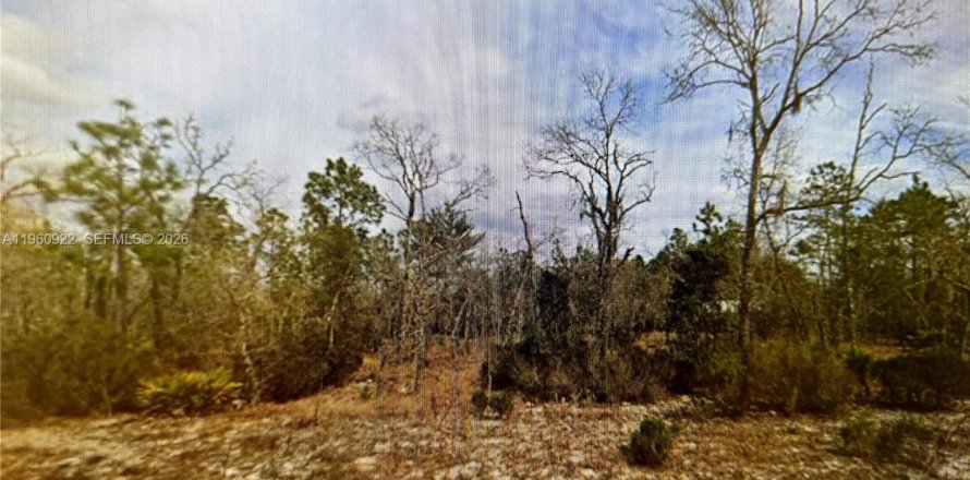 Terrain à Palatka, Floride № 2158267