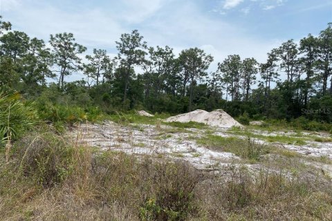 Terreno en venta en Indian lake estates, Florida № 2224280 - foto 7