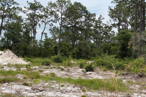 Terreno en venta en Indian lake estates, Florida № 2224280 - foto 6