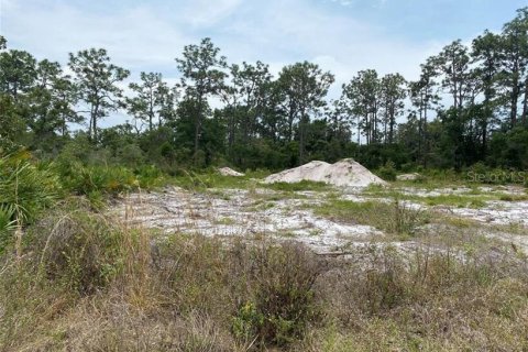 Terreno en venta en Indian lake estates, Florida № 2224280 - foto 3