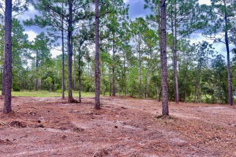 Land in Dunnellon, Florida № 2342738