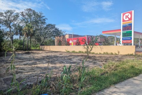 Land in Saint Augustine, Florida № 770173 - photo 1