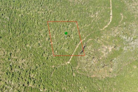 Land in DeLand, Florida № 2377742