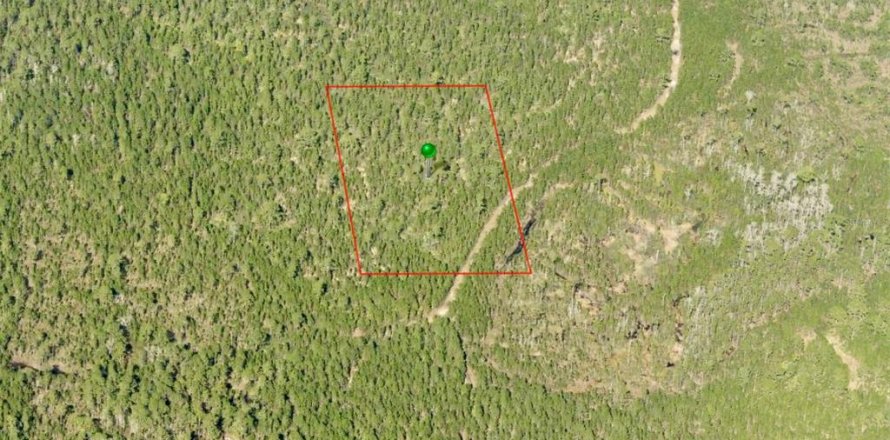 Land in DeLand, Florida № 2377742