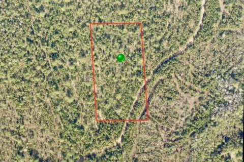 Land in DeLand, Florida № 2377742 - photo 2