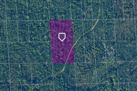 Land in DeLand, Florida № 2377742 - photo 8