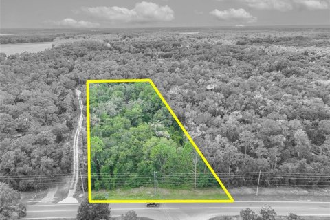 Land in Belleview, Florida № 2353571