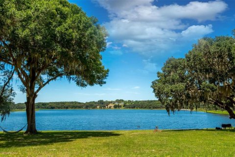 Land in Dade City, Florida № 2121975 - photo 3