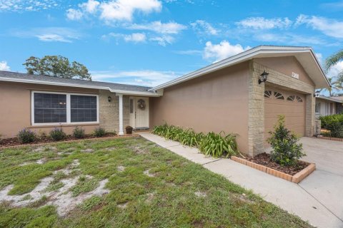 House in Seminole, Florida 3 bedrooms, 171.4 sq.m. № 1911822 - photo 3