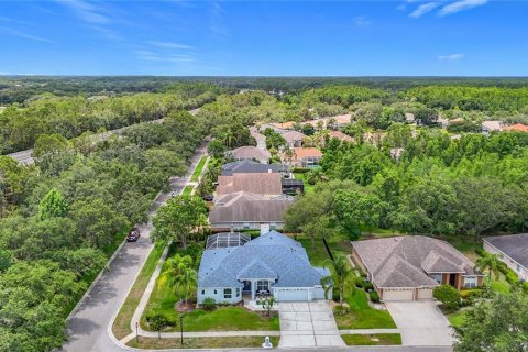 Villa ou maison à vendre à Lutz, Floride: 4 chambres, 233.65 m2 № 1758142 - photo 8