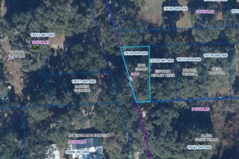 Land in Hawthorne, Florida № 2235135