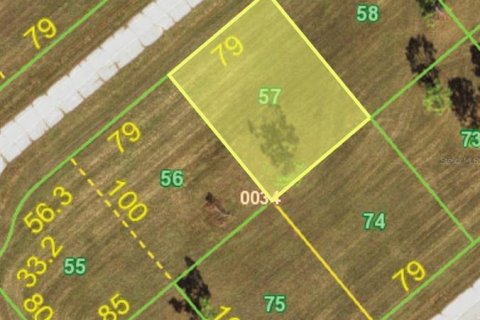 Land in Placida, Florida № 2161893 - photo 8
