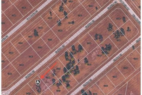 Land in Placida, Florida № 2161893 - photo 2