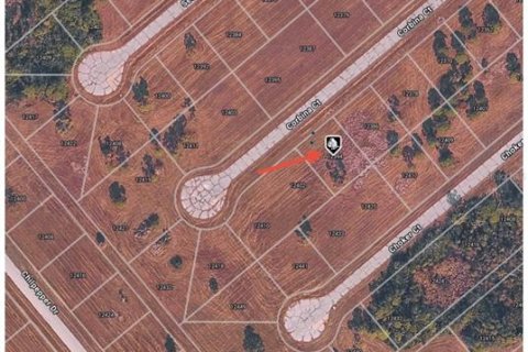 Land in Placida, Florida № 2161893 - photo 6
