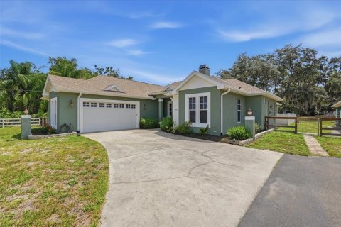 House in Odessa, Florida 4 bedrooms, 226.96 sq.m. № 2199224