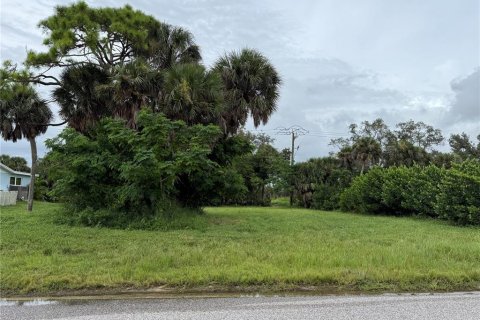 Terrain à Rotonda, Floride № 2164387