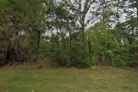 Land in Ocala, Florida № 2158730 - photo 2