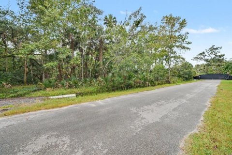 Terrain à vendre à Osteen, Floride № 2425311 - photo 4